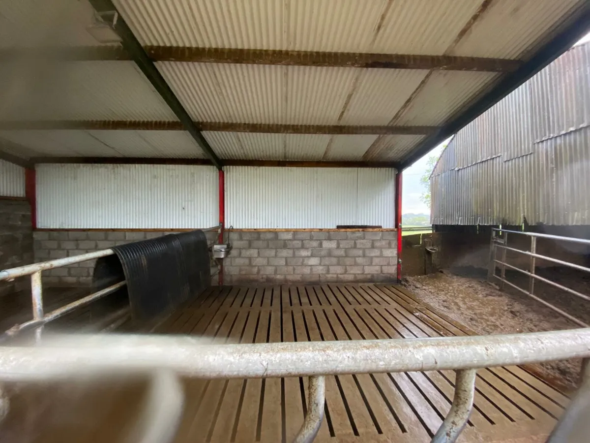 Farm shed power washing - Image 2