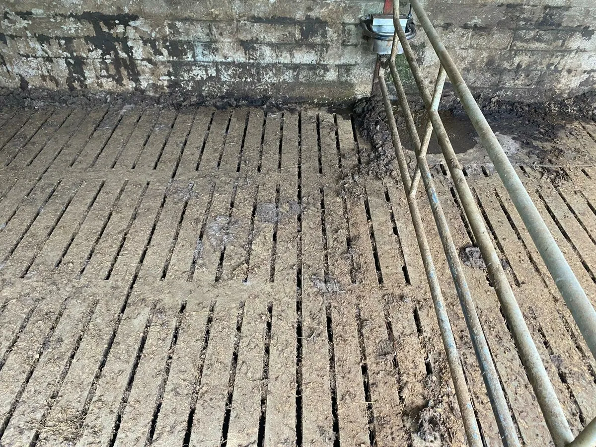 Farm shed power washing - Image 3