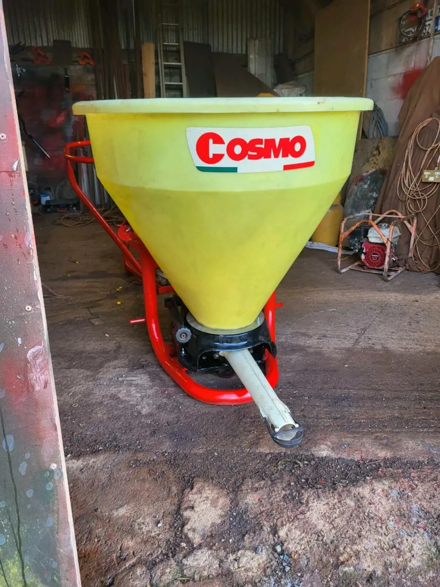 Rocha and cosmo - Image 1