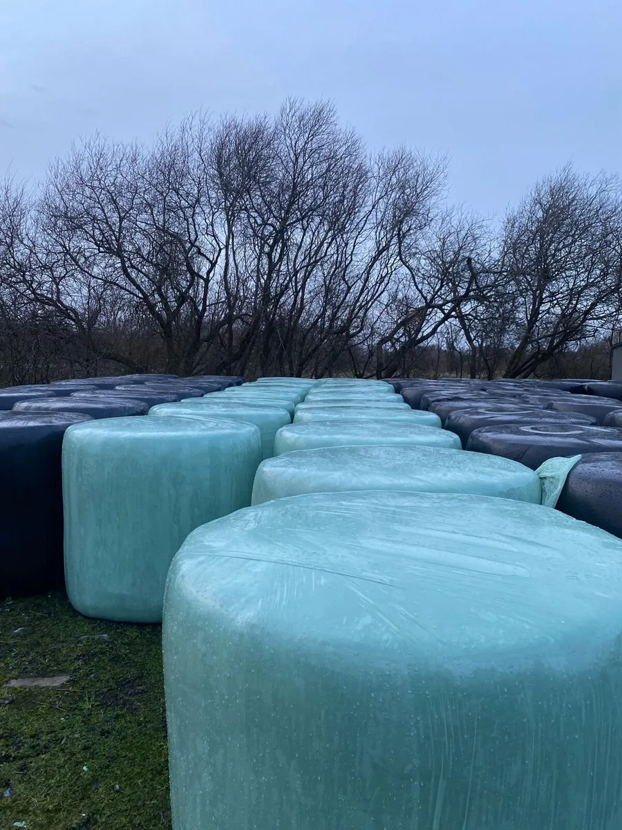 Silage bales