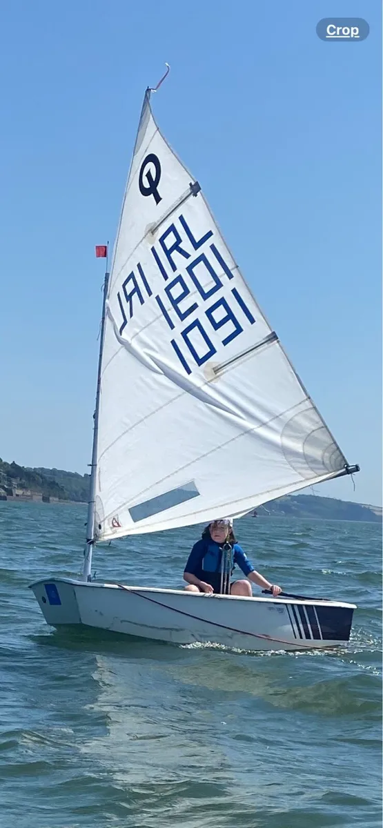 Optimist - Image 3