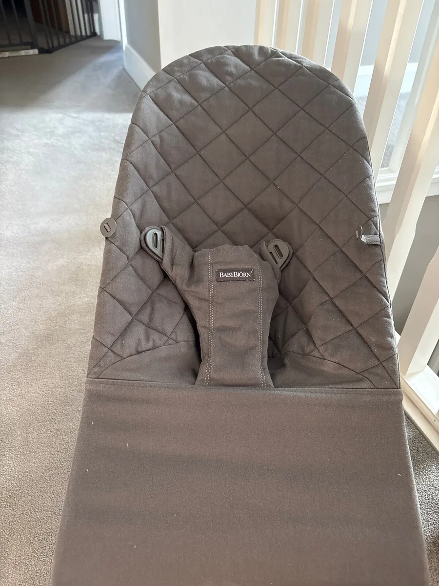 Baby Bjorn Bouncer - Grey - Image 1
