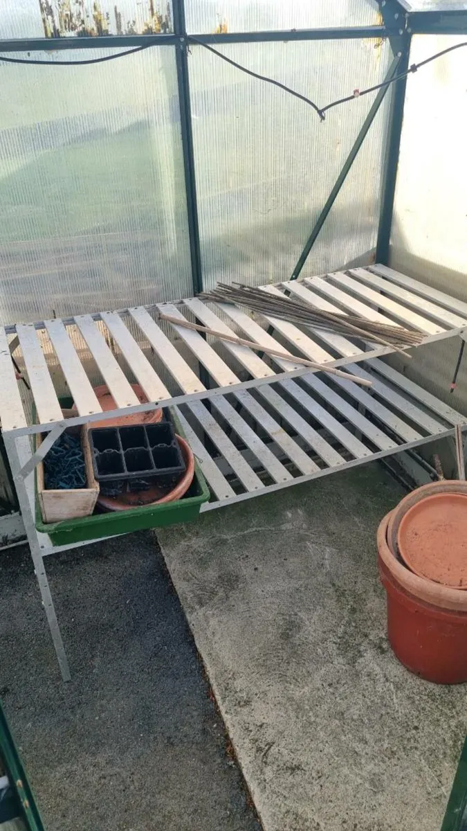 Greenhouse - Image 3