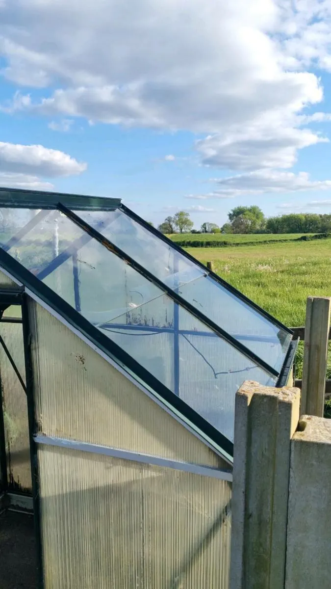 Greenhouse - Image 4