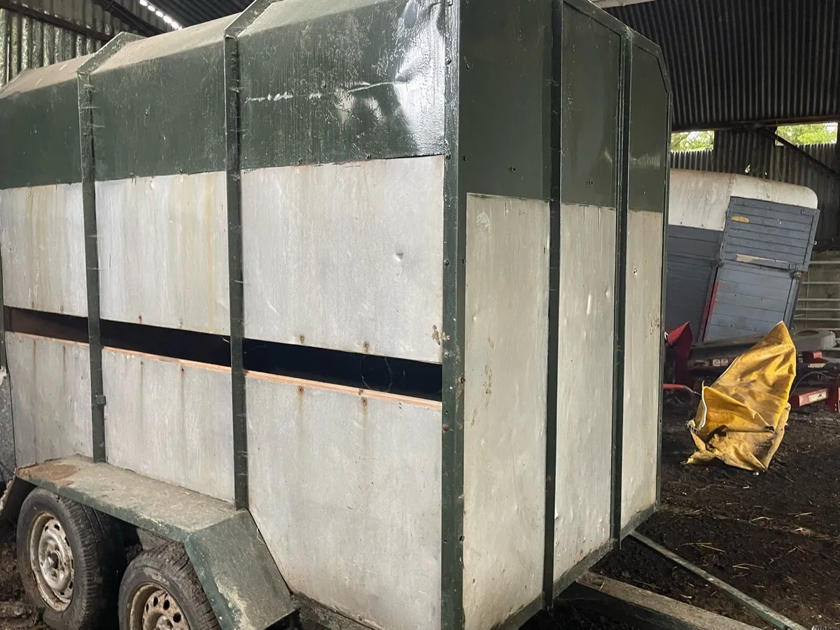 Cow box - Image 1