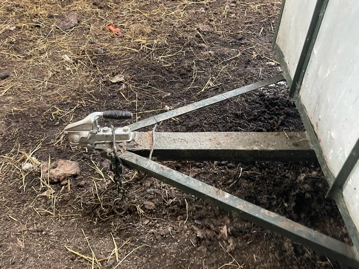 Cow box - Image 2