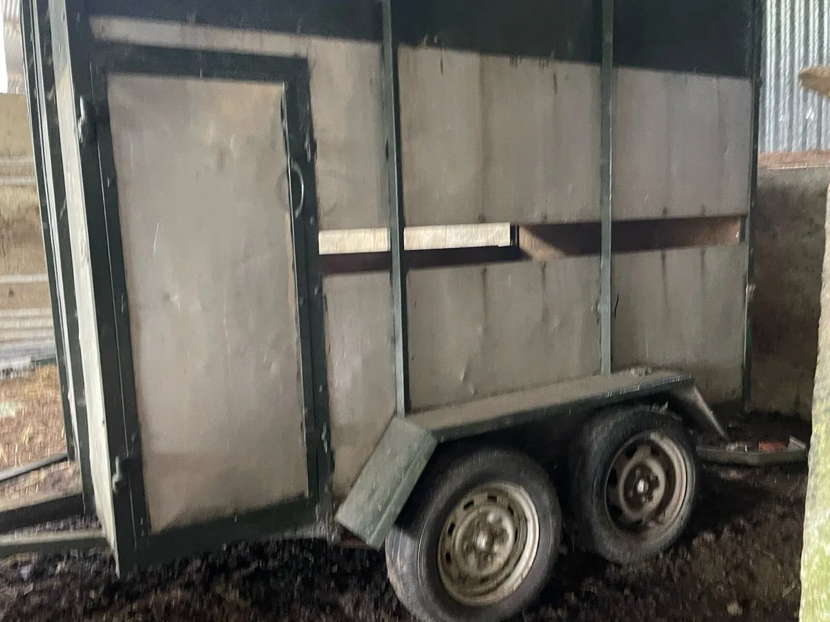 Cow box - Image 3