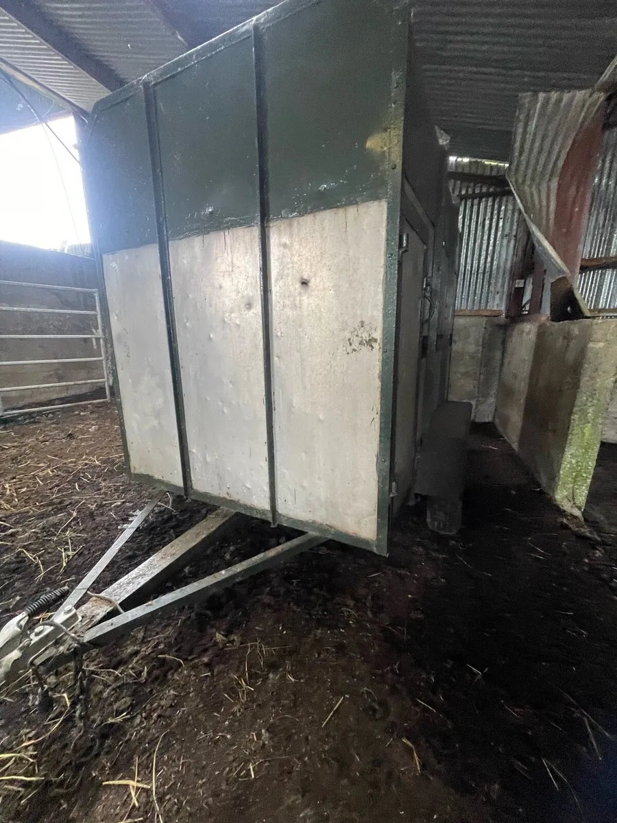 Cow box - Image 4