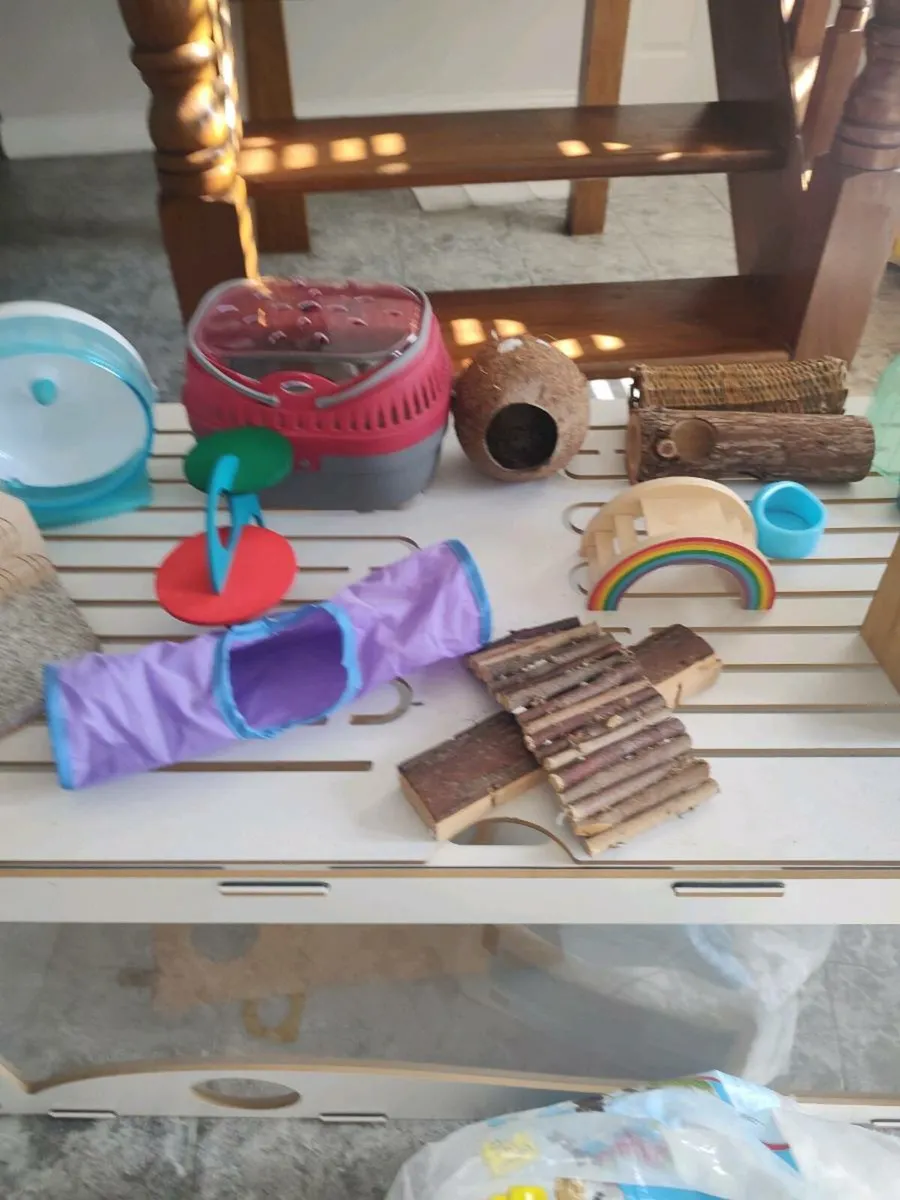 Hamster home - Image 4