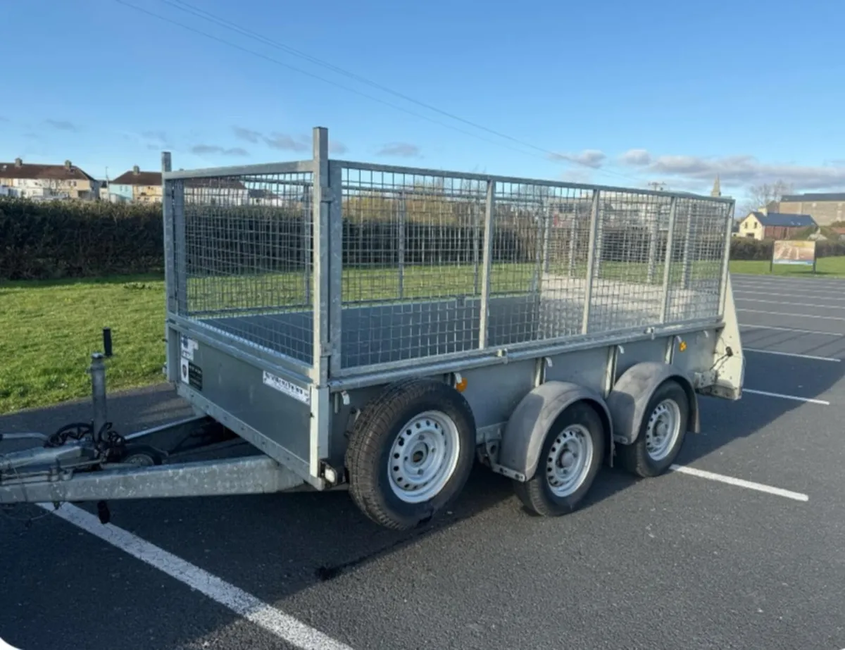 IFOR WILLIAMS 10X5 - Image 2