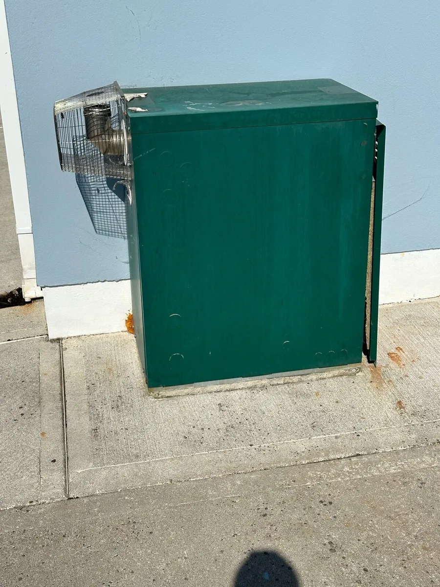 Firebird condenser boiler - Image 1
