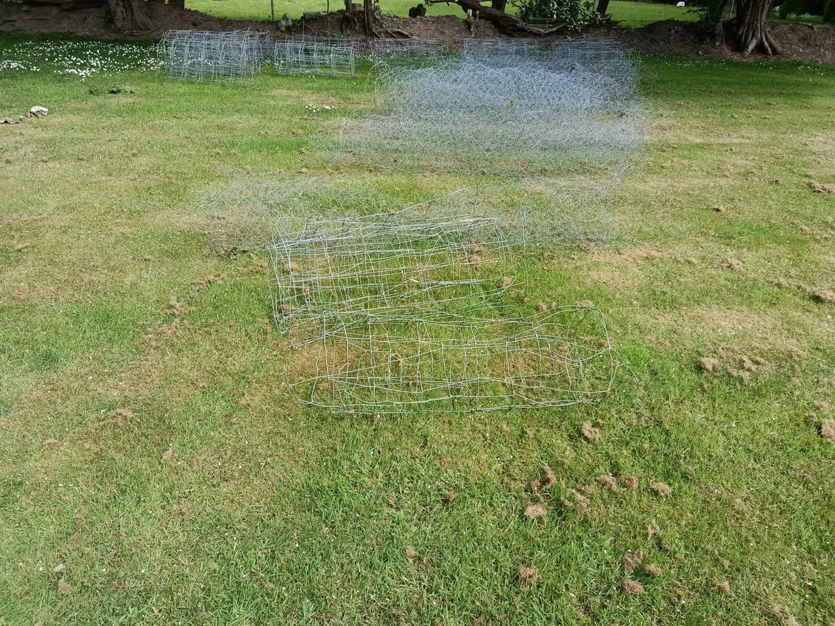 Sheep fence wire - Image 4