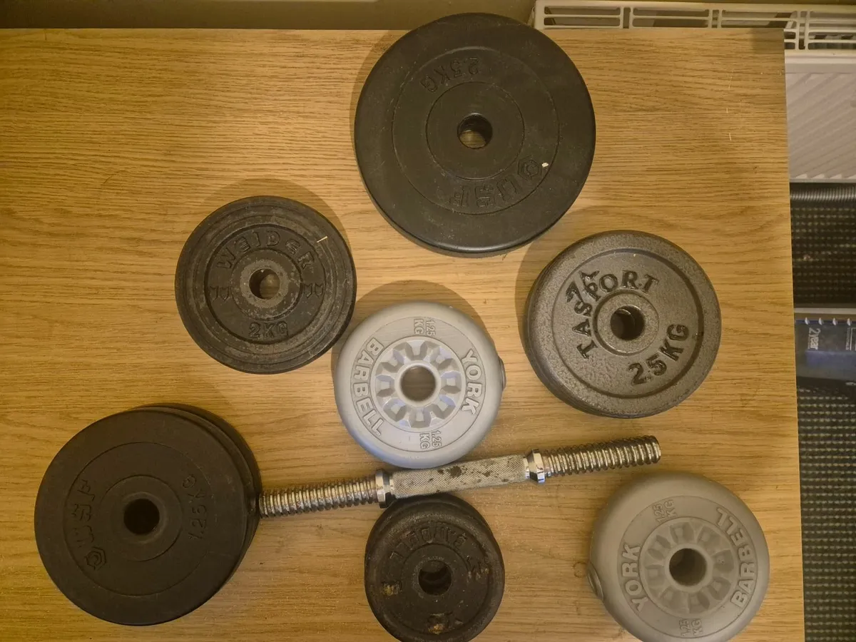 Gym Weights - Image 1