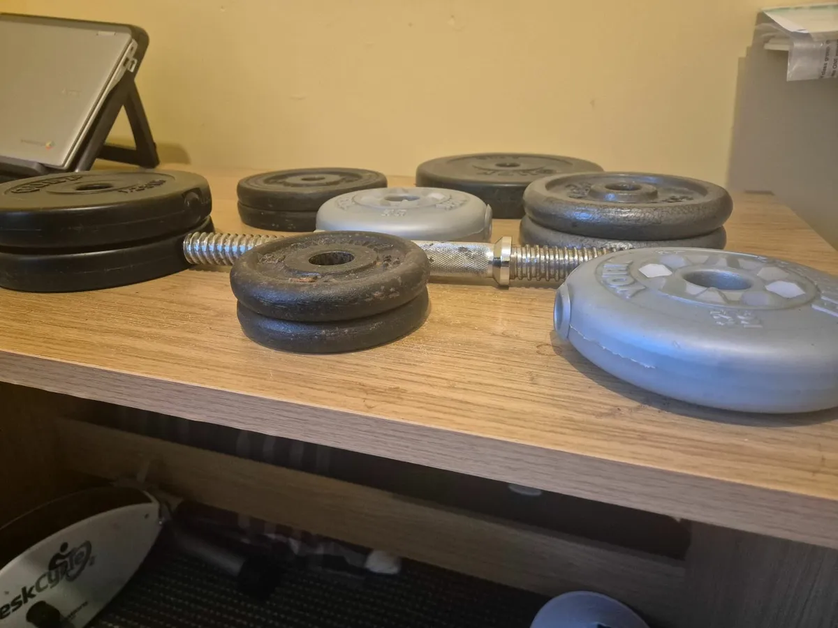 Gym Weights - Image 2