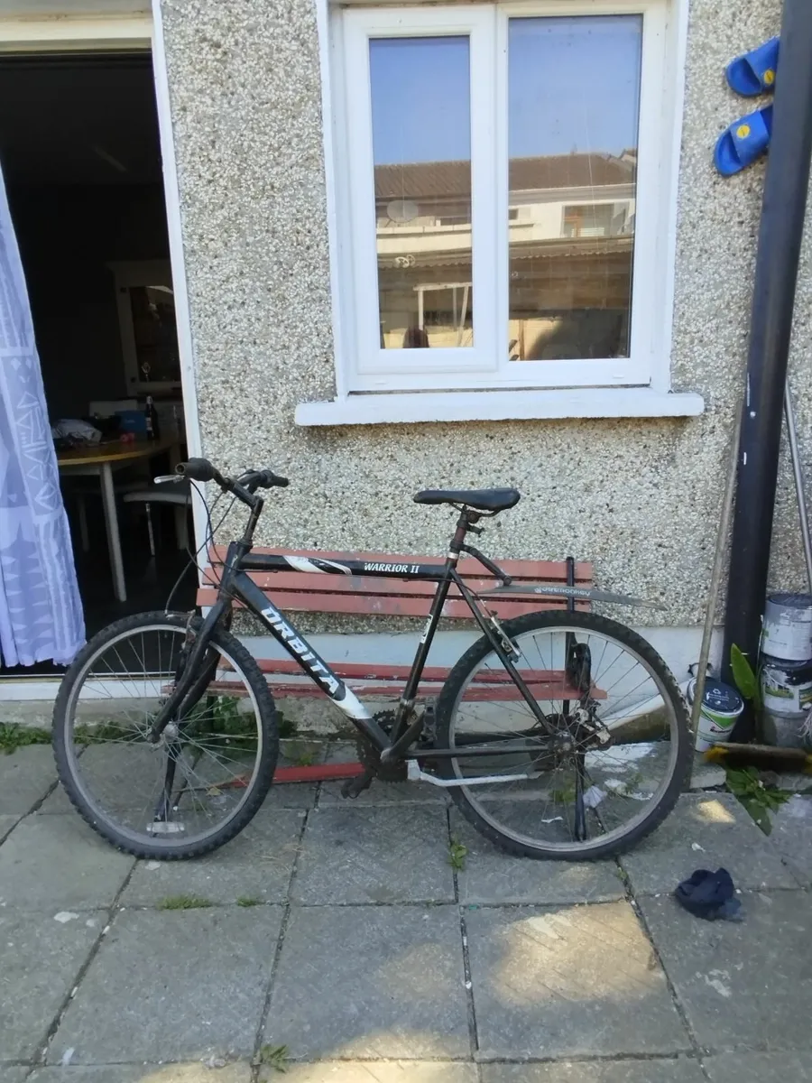Bicycles - Image 1