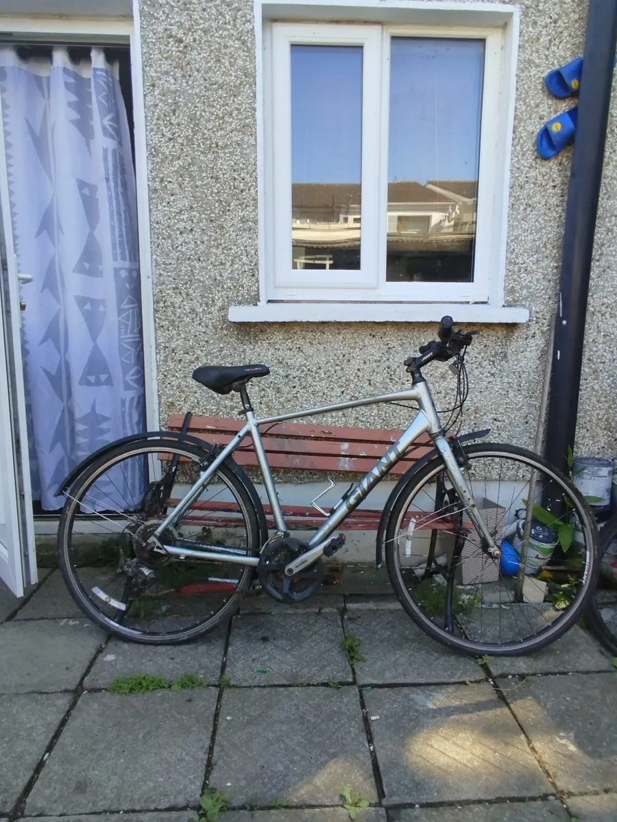 Bicycles - Image 4