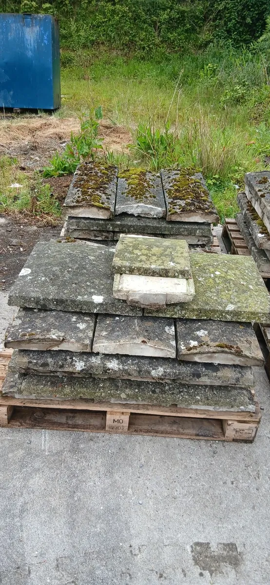 Second hand wall coping - Image 4