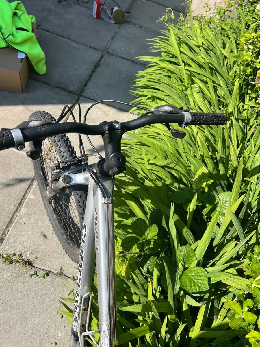 Bike - Image 3