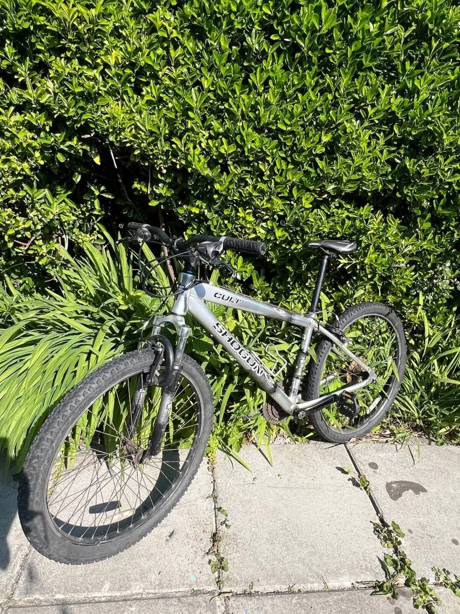 Bike - Image 4