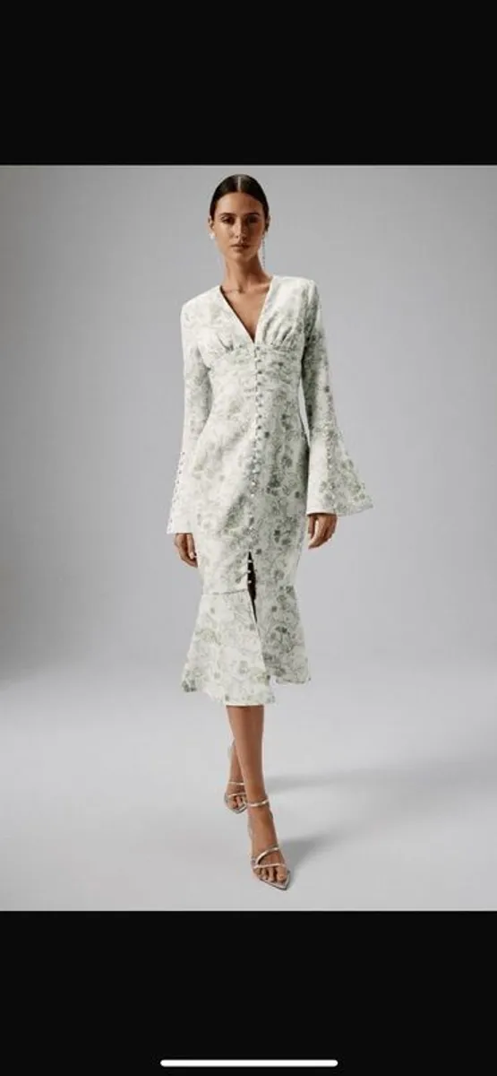 dress lavish Alice size 14 - Image 2