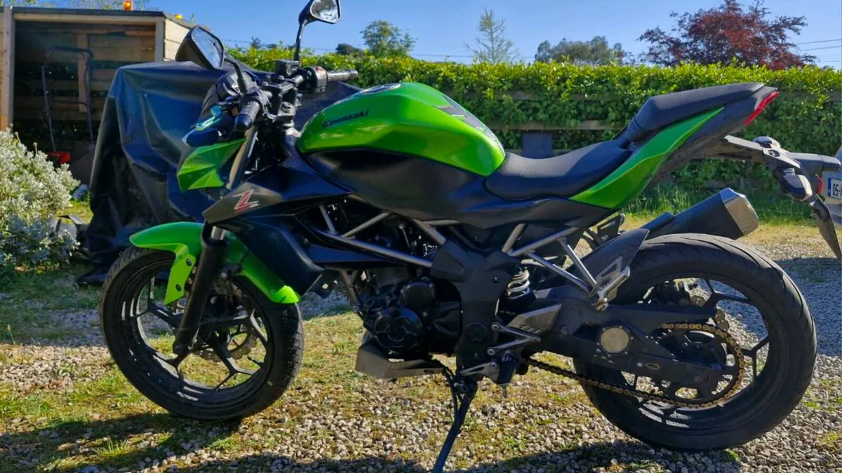 Kawasaki Z250SL - Image 1