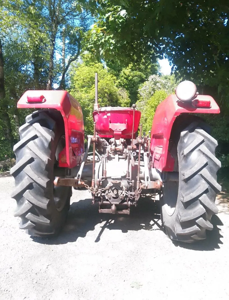 Massey Ferguson 135 1971 - Image 3