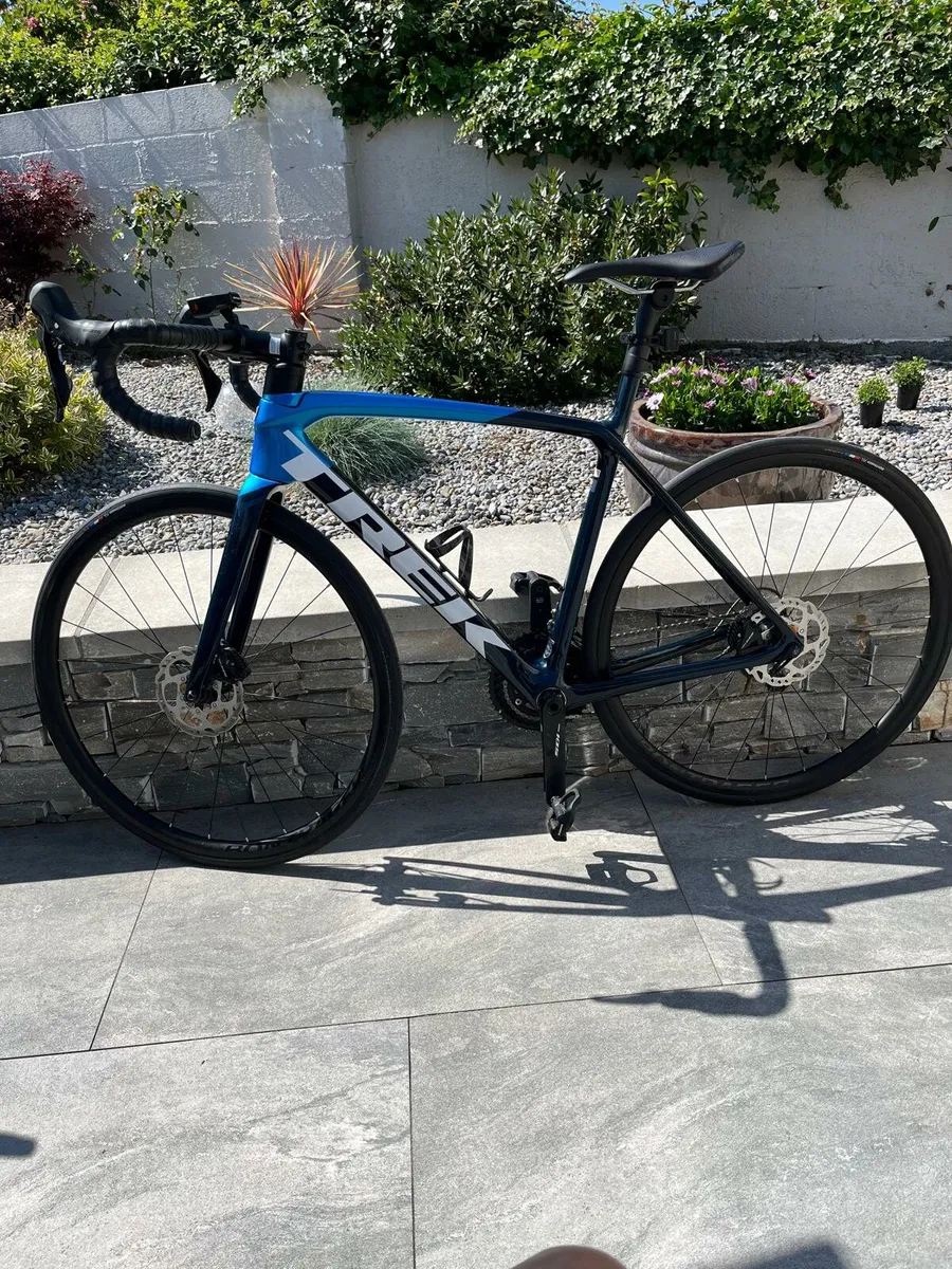 Trek Elmonda SL5 Carbon - Image 1
