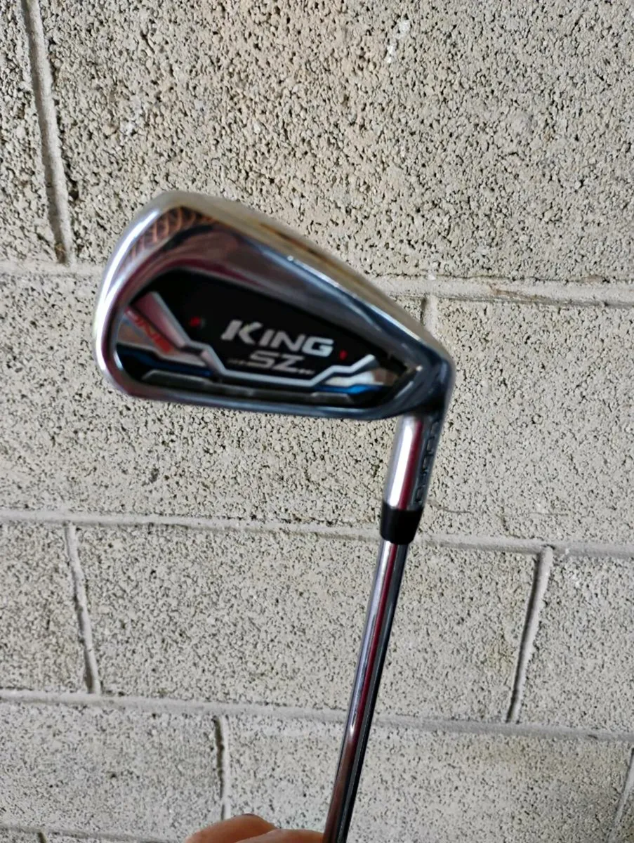 Cobra One Length Irons 5 - SW - Image 2