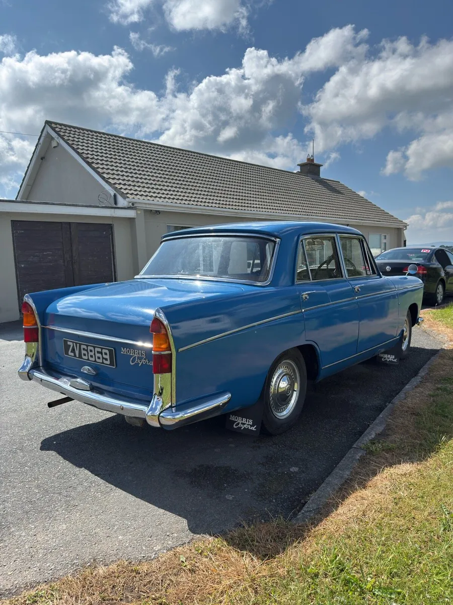 Morris Oxford - Image 3
