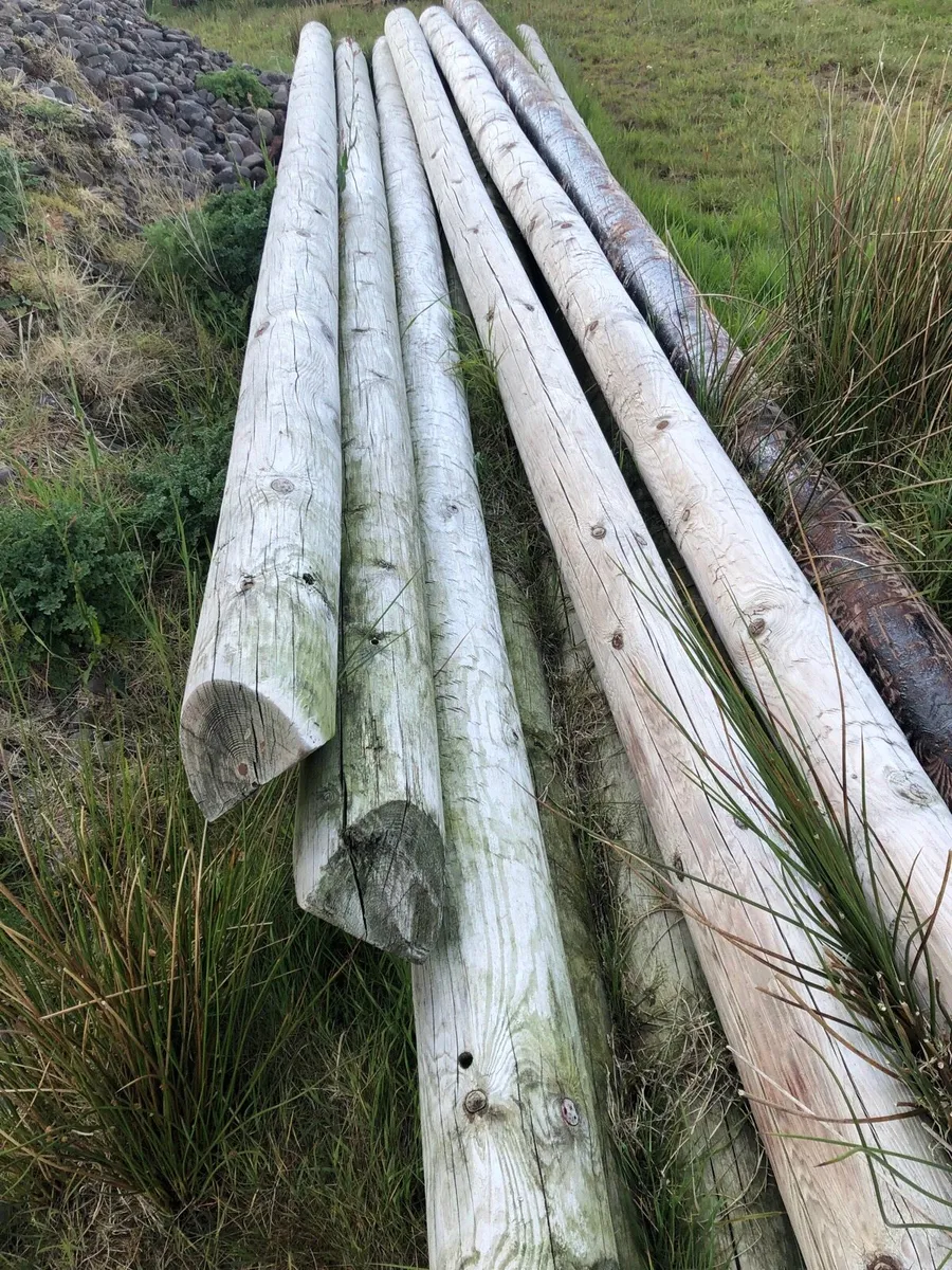 Esb poles