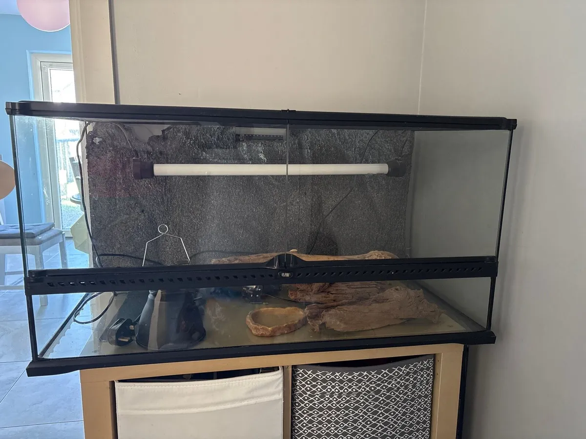 Terrarium