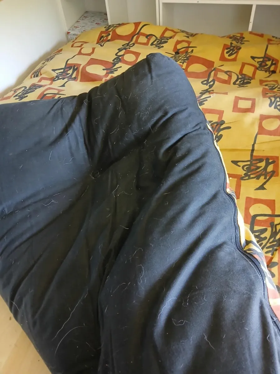 Free Futon mattress - Image 1