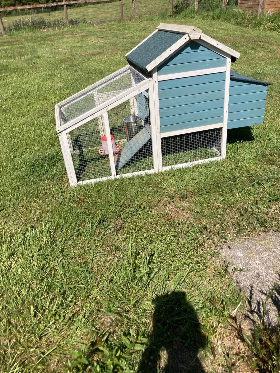 Chicken coop - Image 2