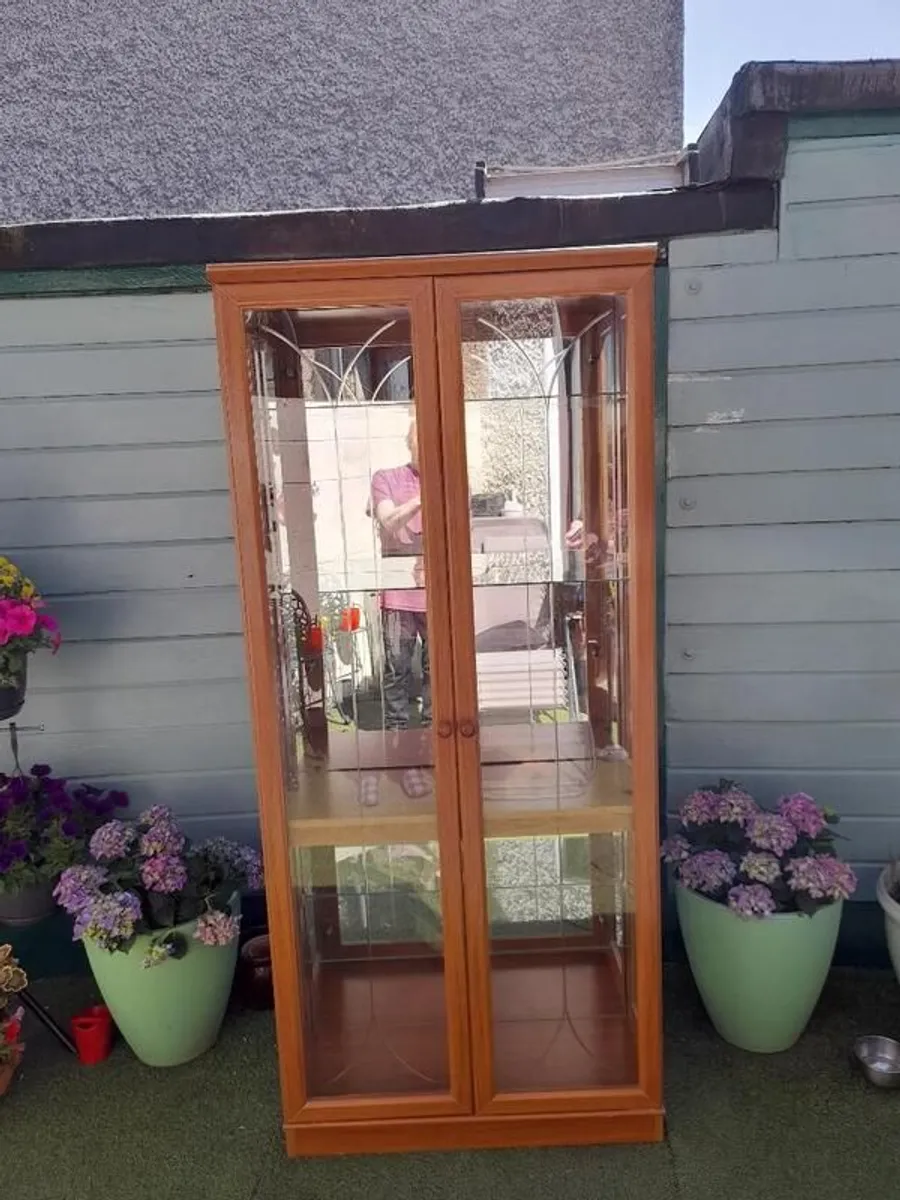 Display Cabinet for Sale - Image 1