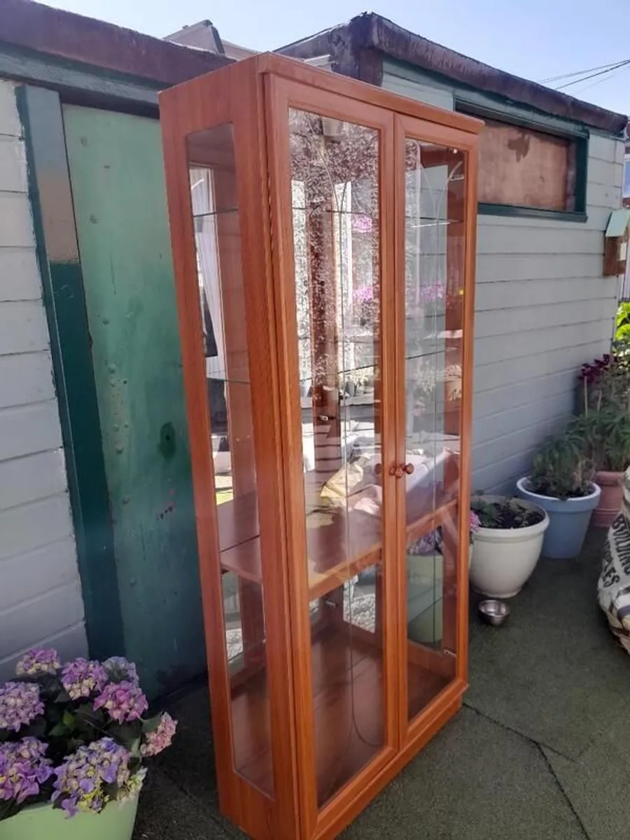 Display Cabinet for Sale - Image 2