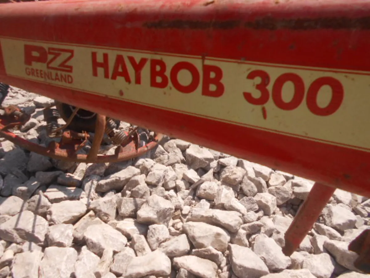 PZ 300 HAYBOB - Image 3