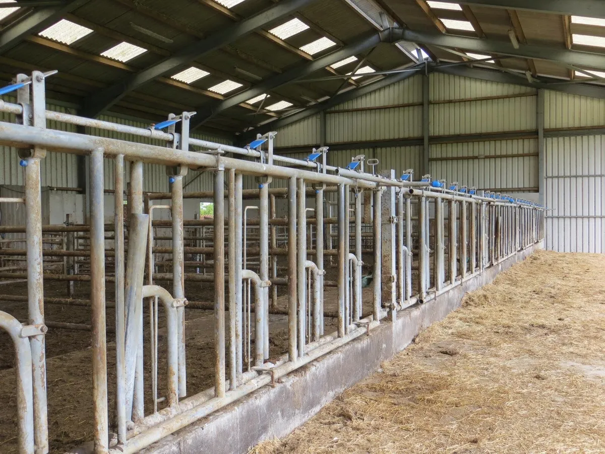 Self locking feed barriers
