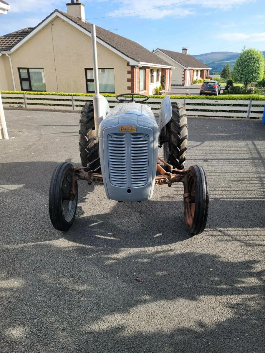 Massey Ferguson 35 Gold Belly - Image 1
