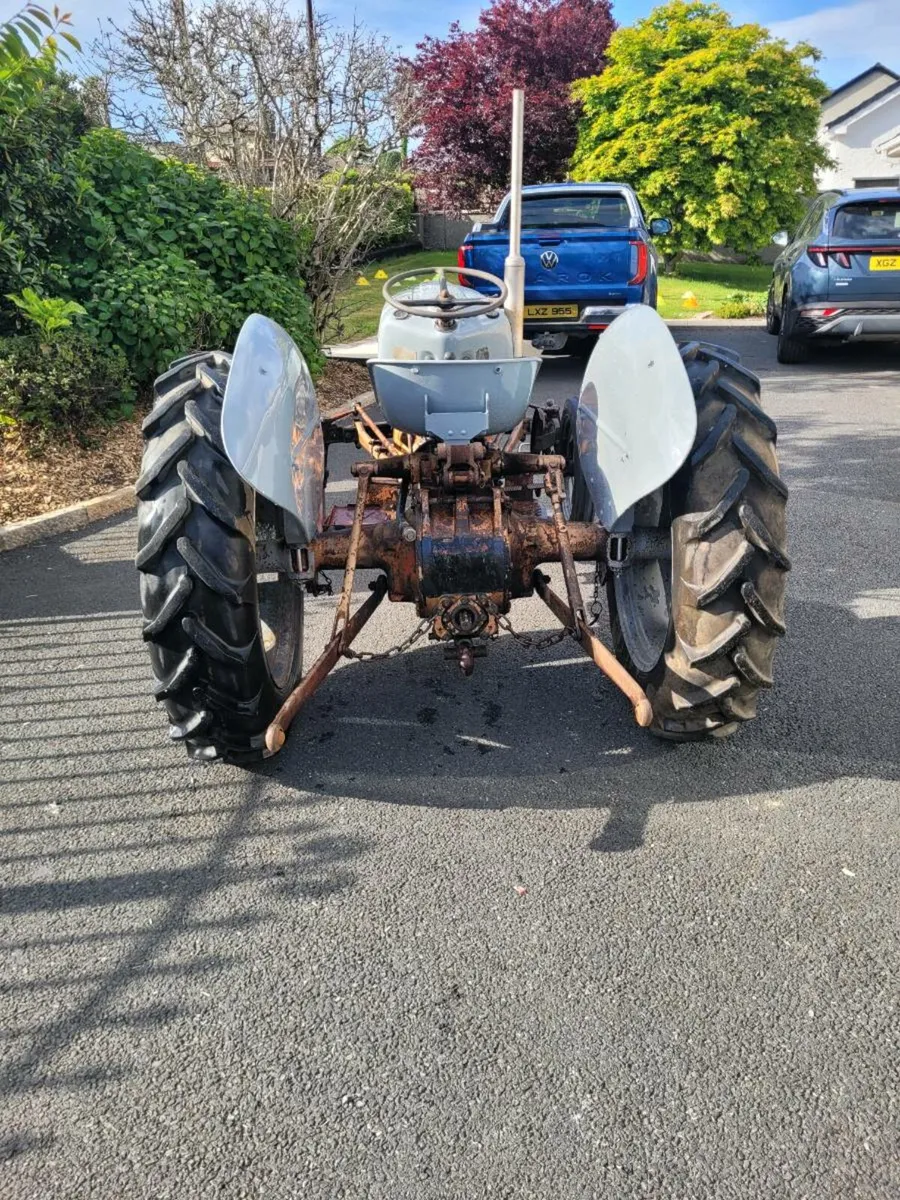 Massey Ferguson 35 Gold Belly - Image 2