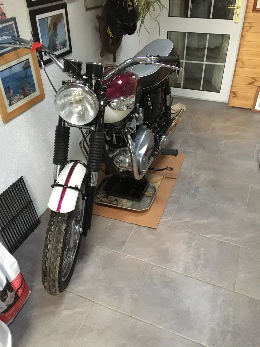 Vintage 1967 Triumph Bonneville 650 - Image 3