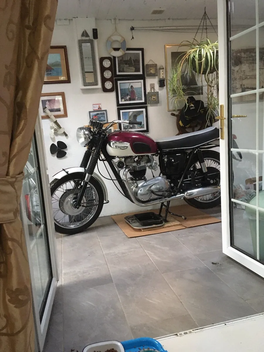 Vintage 1967 Triumph Bonneville 650 - Image 4