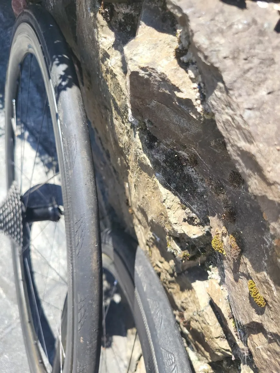 Orbea ORCA M10iLTD - Image 2