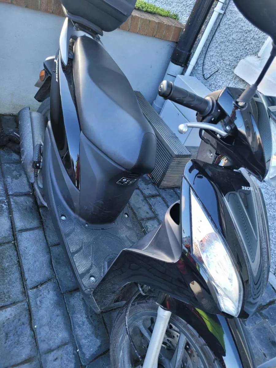 moped - Image 2