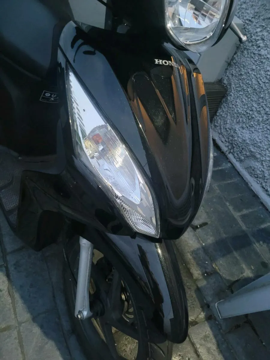 moped - Image 4