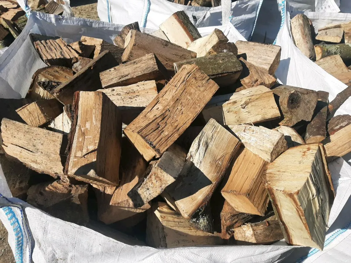 Hardwood Logs - Image 1