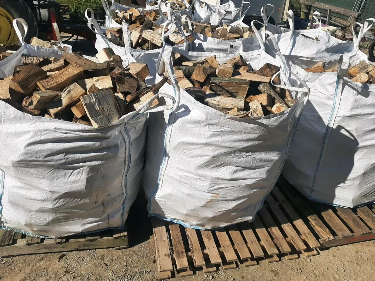 Hardwood Logs - Image 2