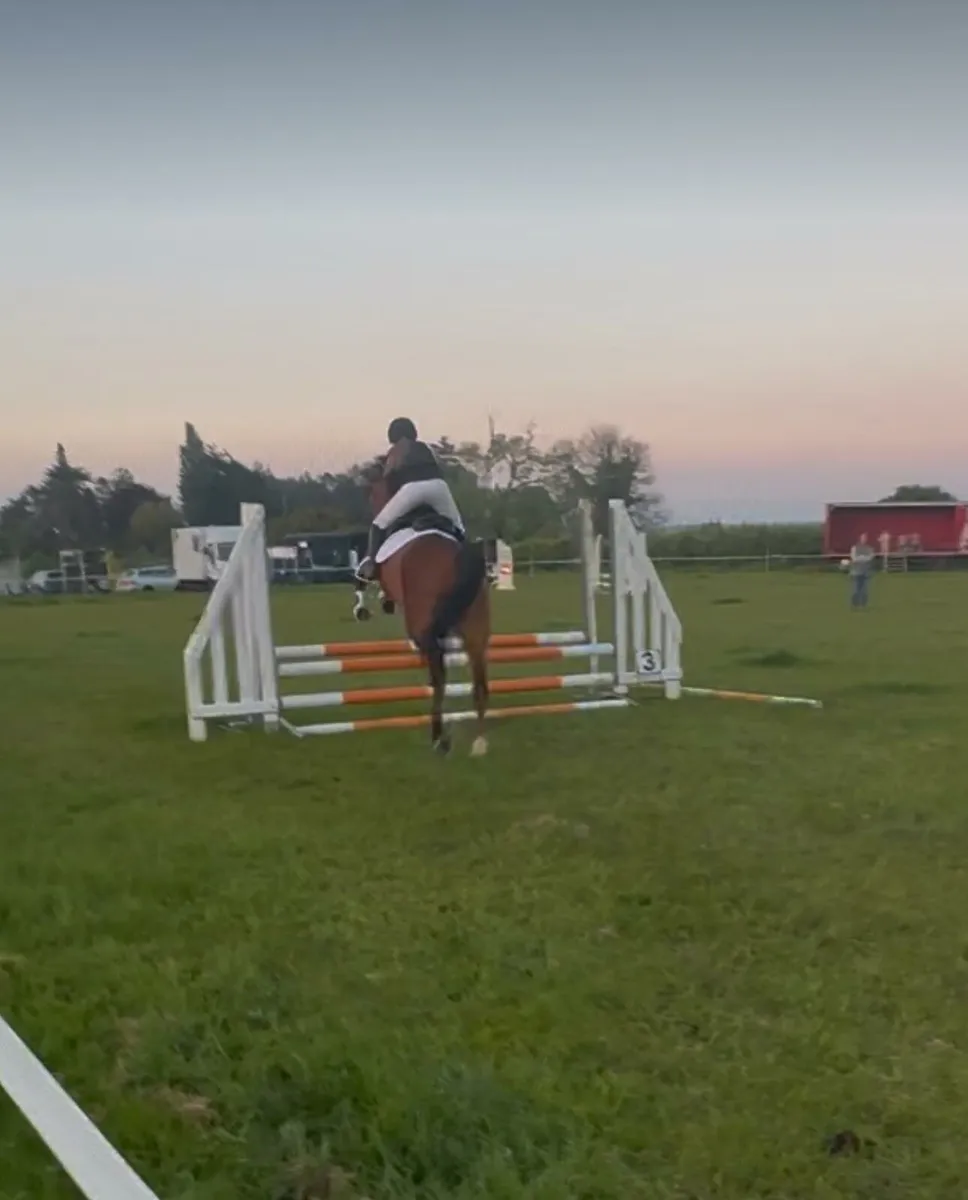 Horse - Image 2