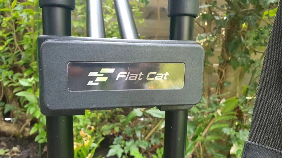 Flat Cat Electric Golf Trolley +  Bag, Rain Cover - Image 2