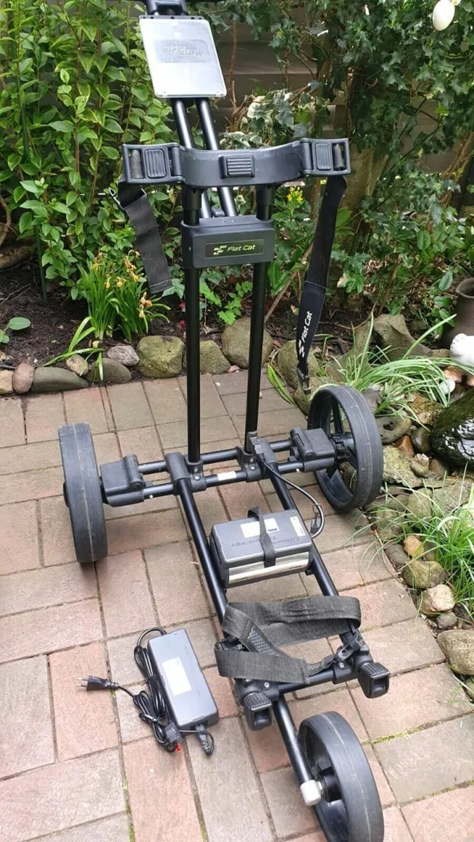 Flat Cat Electric Golf Trolley +  Bag, Rain Cover - Image 3