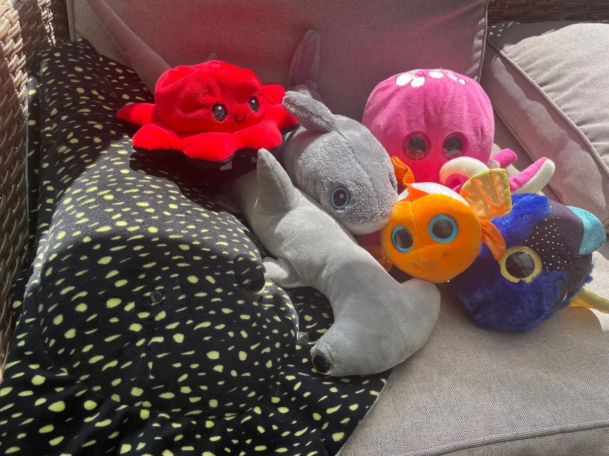Ocean theme teddies bundle - Image 1